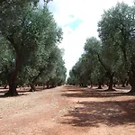 Terra Di Leuca Alloggio per agriturismo *