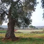 Terra Di Leuca * Salve