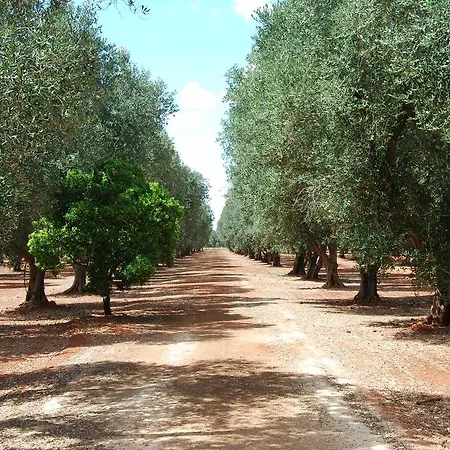 Κατάλυμα σε φάρμα Terra Di Leuca *