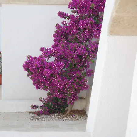 Terra Di Leuca *