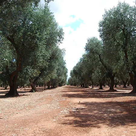 Terra Di Leuca Farmház *
