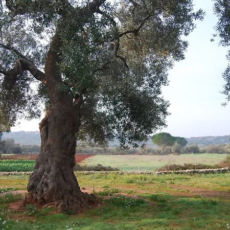 Terra Di Leuca * 살베