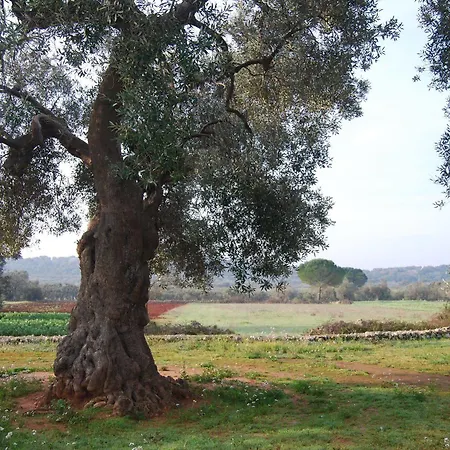 Terra Di Leuca Farm stay Salve