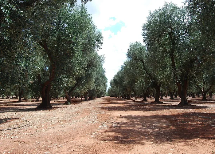 Terra Di Leuca Séjour à la ferme *