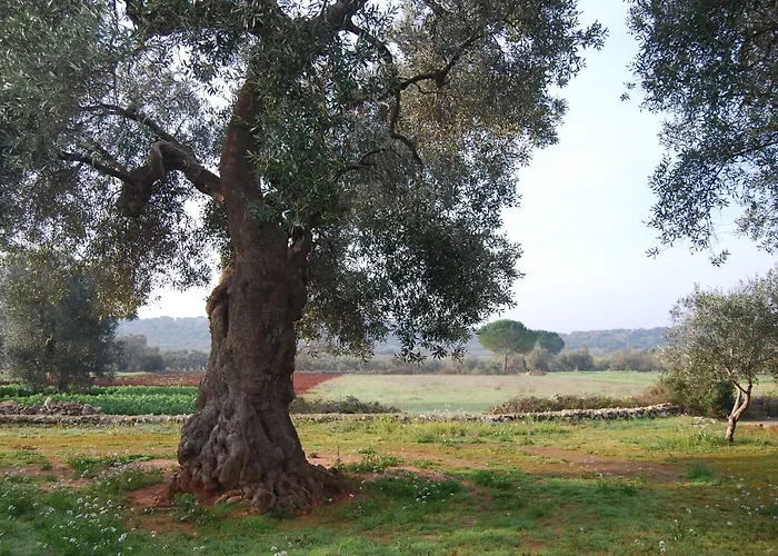 Terra Di Leuca * Salve