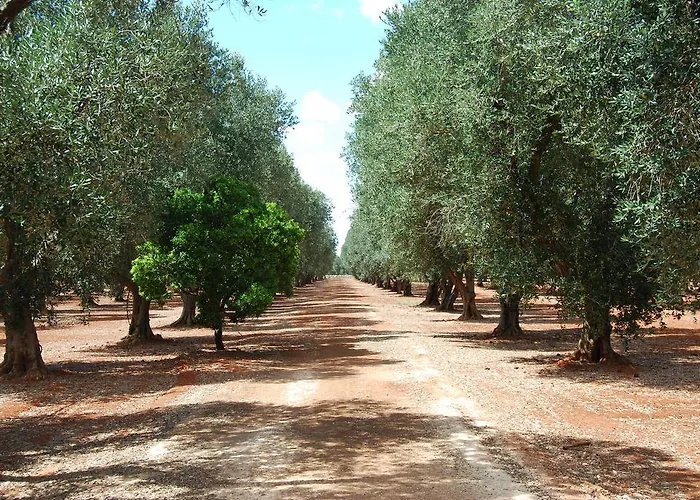 مزرعة للإقامة Terra Di Leuca *